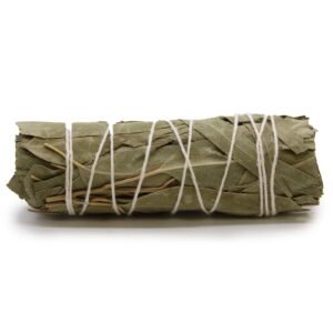 10cm Smudge Stick - White Sage & Eucalyptus